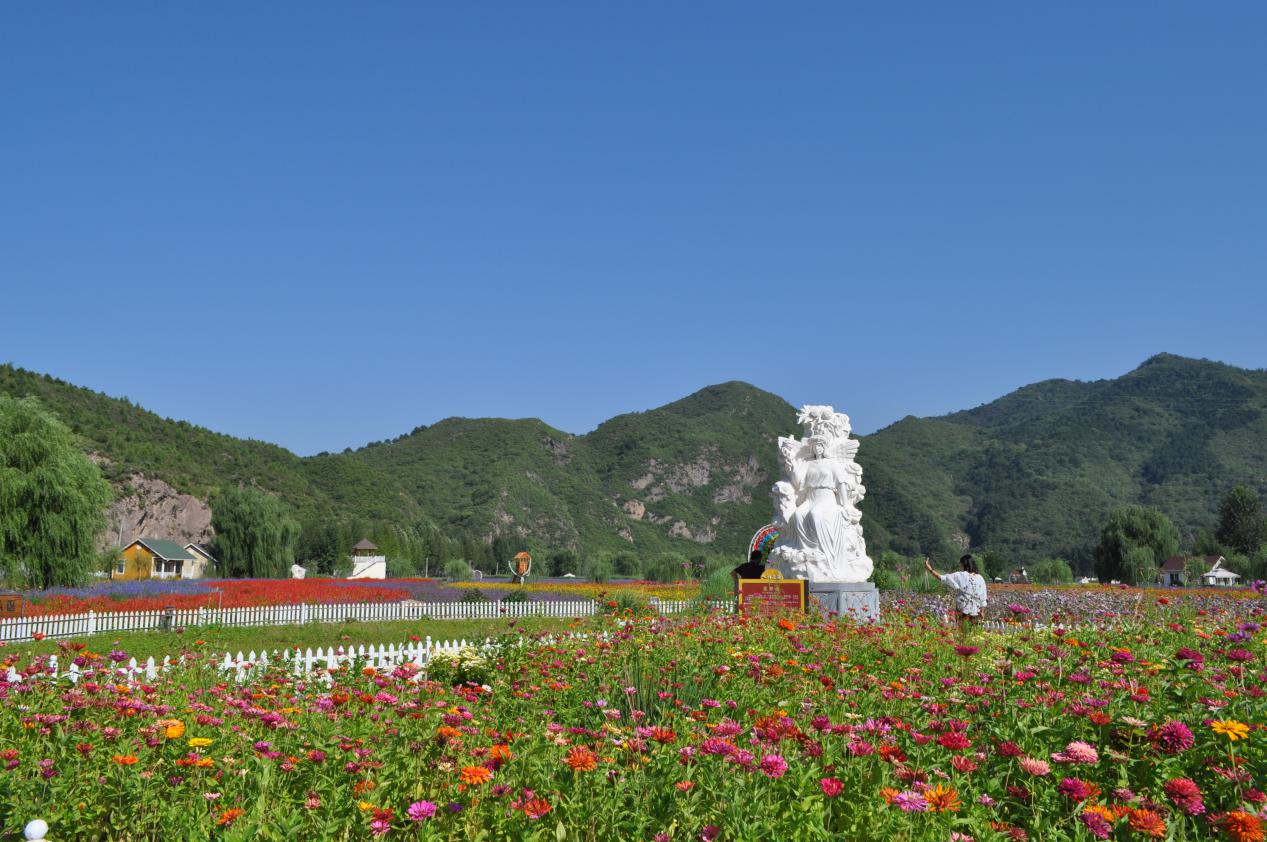 看山花、赏美景、住民宿，吃喝玩乐游太师屯