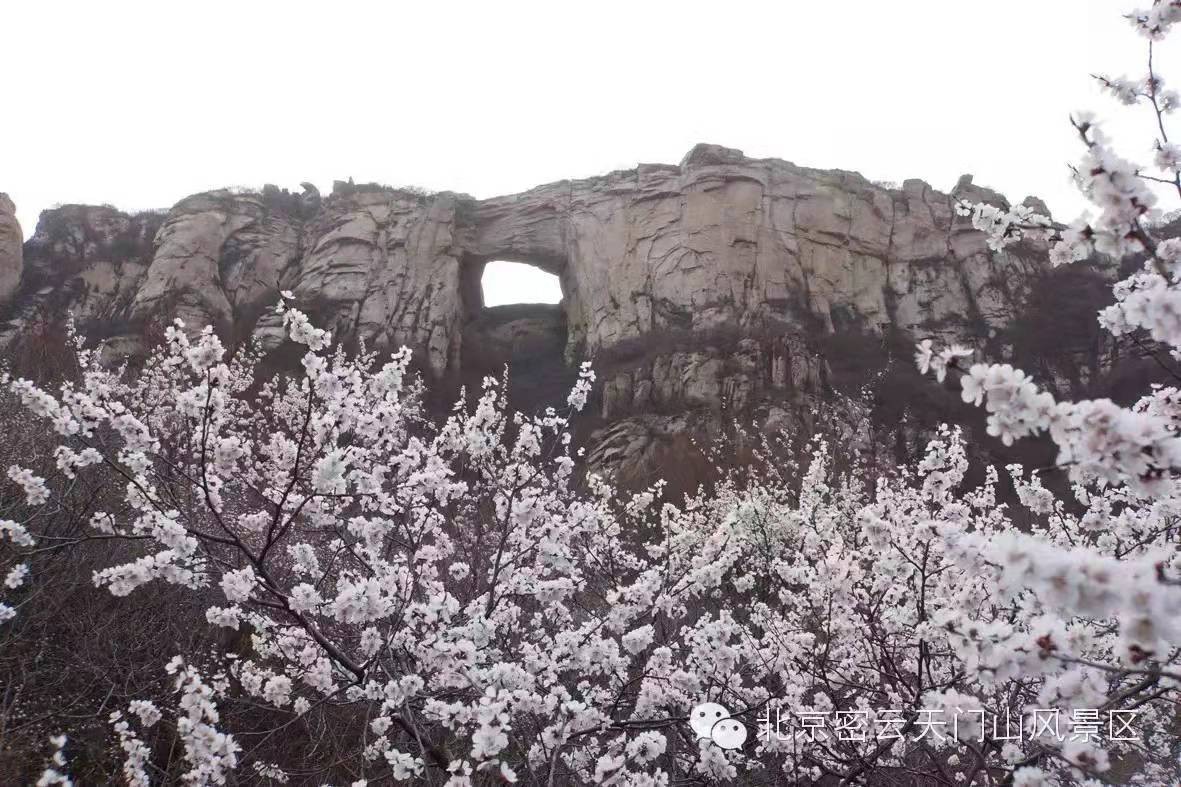 春风暖浓踏青时：密云区石城镇清明节乡村旅游接待实现收入378万元