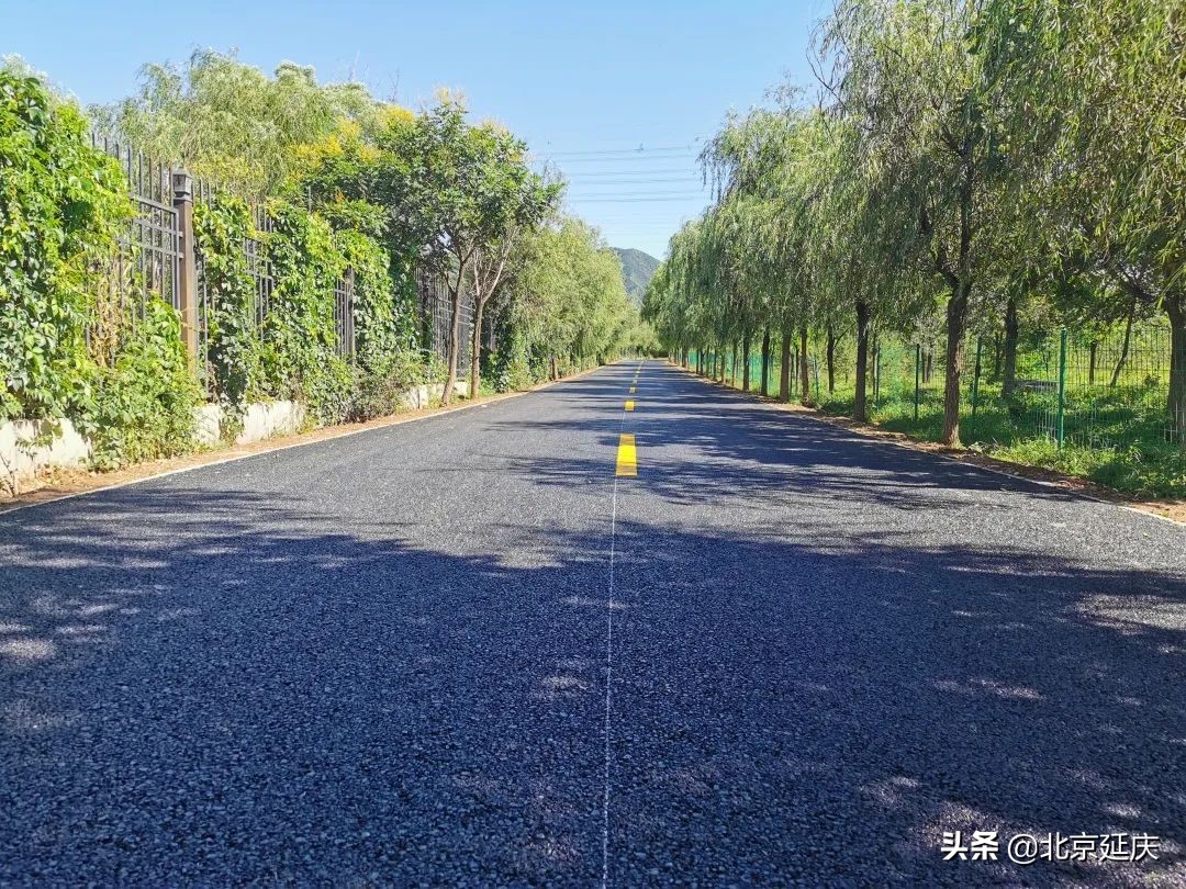 延庆也有，看看是哪！2021年北京17条“最美乡村路”出炉