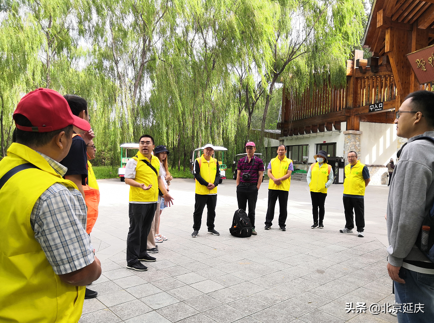 保证延庆赛区周边生态环境不受影响 延庆林业有害生物志愿服务队为冬奥保驾护航
