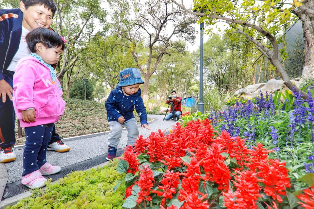 又添一处街心公园，曾经的闲置空地大！变！样！