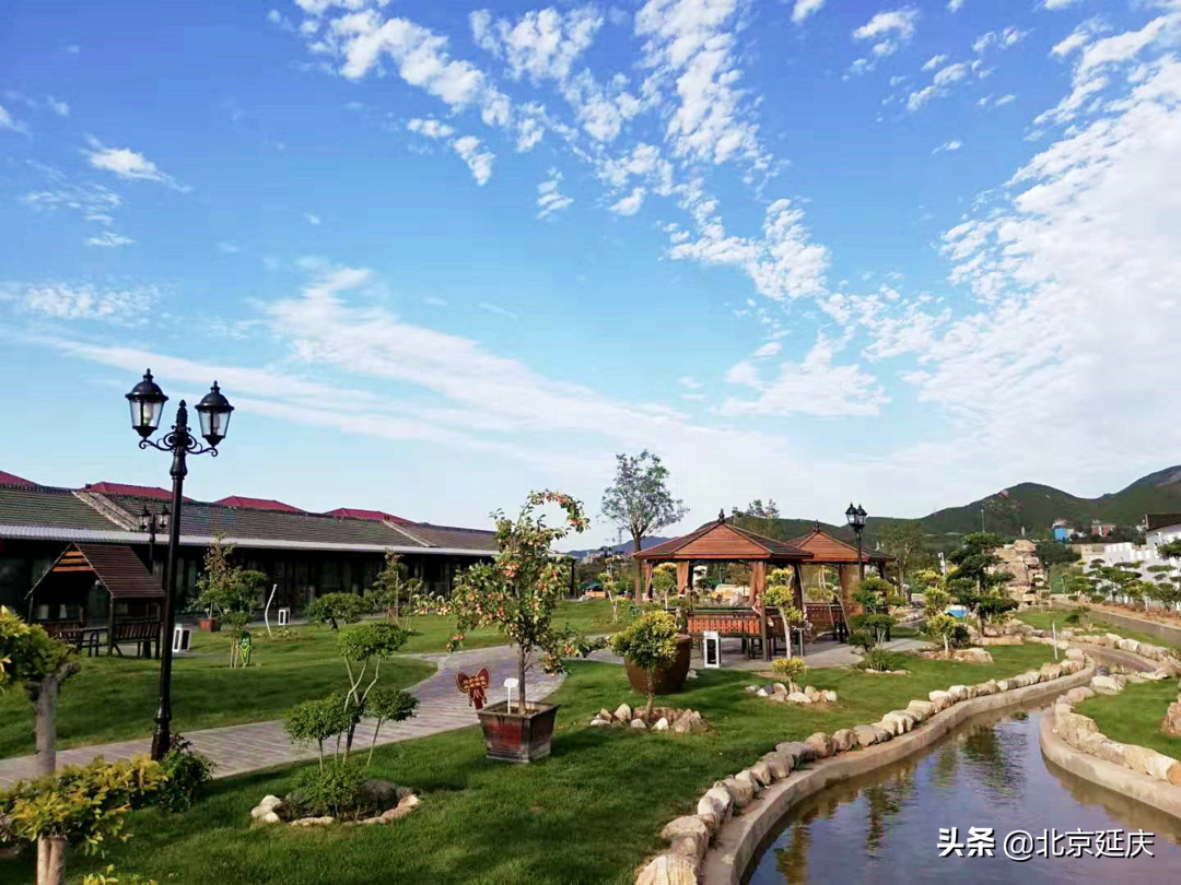 感受浪漫园艺生活 延庆里炮园艺小镇秋日盛景正当时~