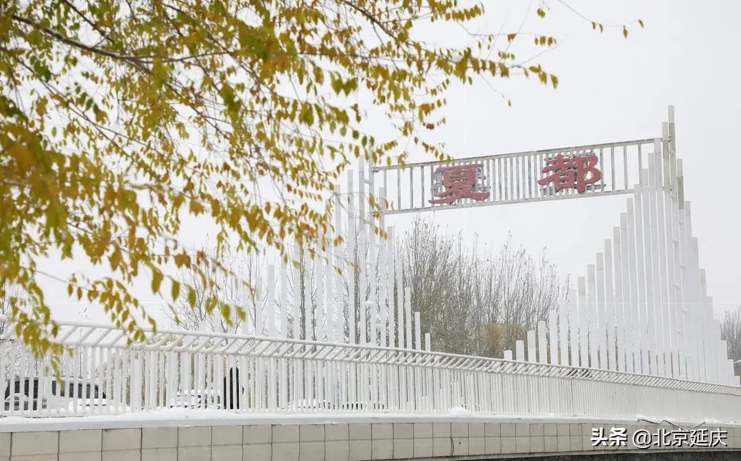 延庆环卫工人连夜扫雪，致敬那些在风雪中为我们坚守的人