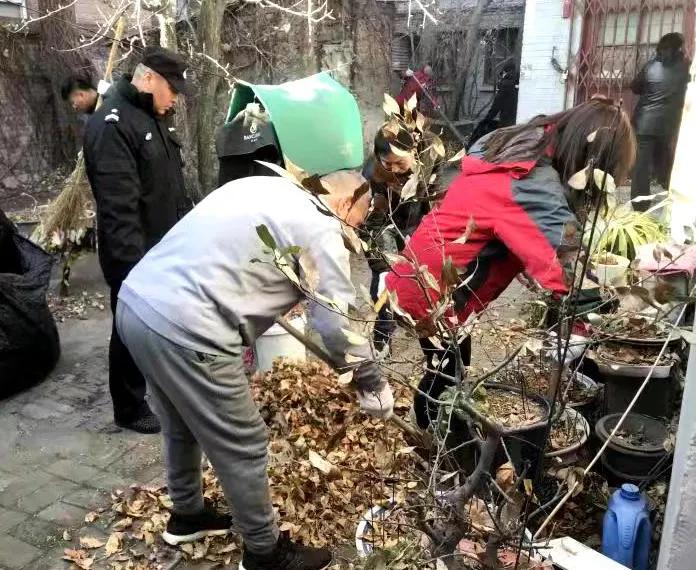 人人参与，行行出力！东城区常态化开展爱国卫生运动