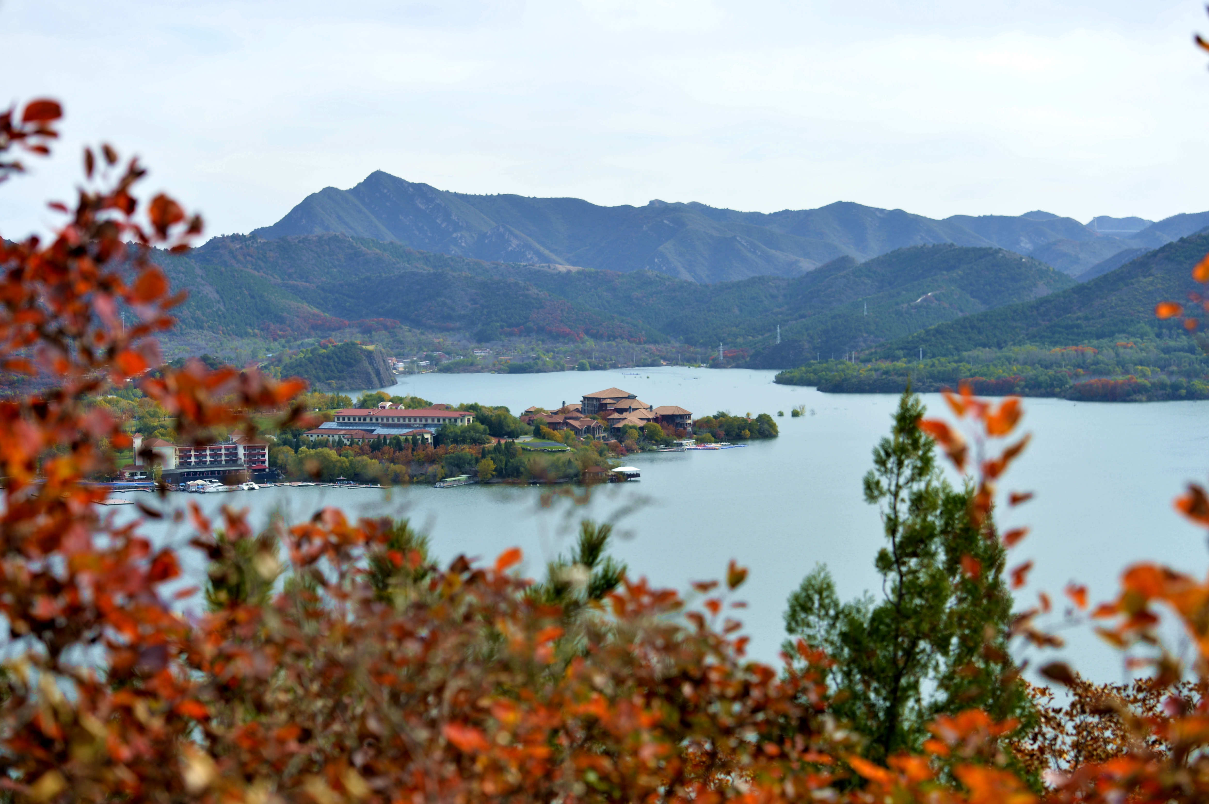 金海湖晚秋 水岸红叶风景独好