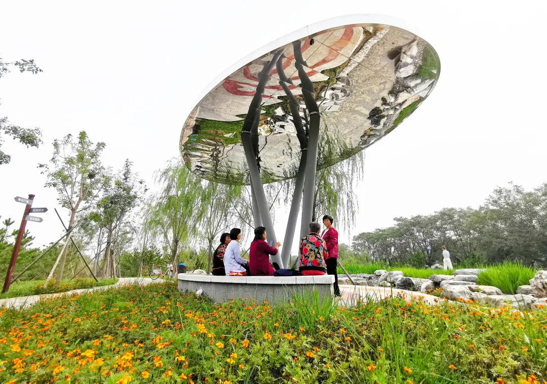 就在明天！衙门口城市森林公园正式开园！又多一个好去处~