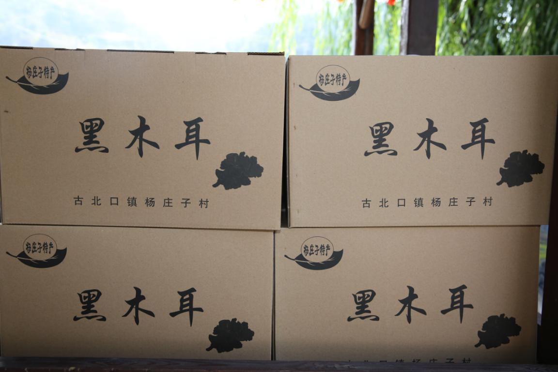 密云区古北口镇迎来市郊铁路怀密线正式开通运营后第一批游客