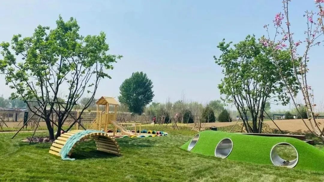 这个蔬艺园，成为推动村庄产业发展的新亮点