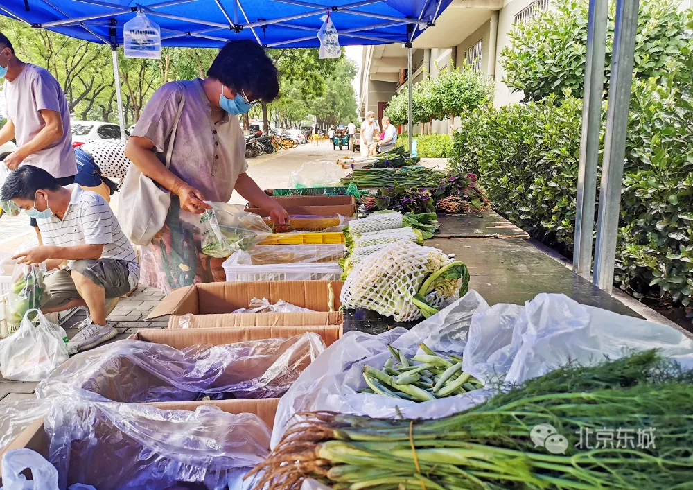 更方便，更安心！“蔬菜直通车”受到居民欢迎
