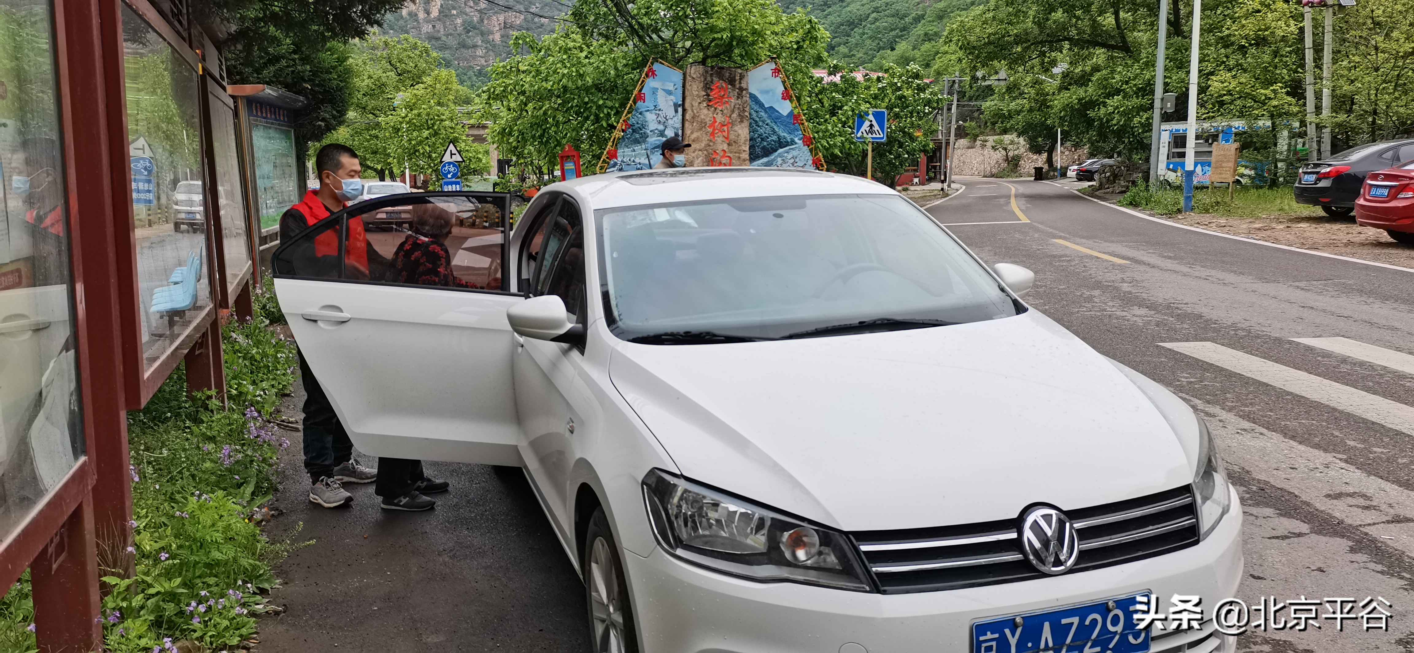 平谷梨树沟村支委变“羊倌”帮隔离村民喂羊