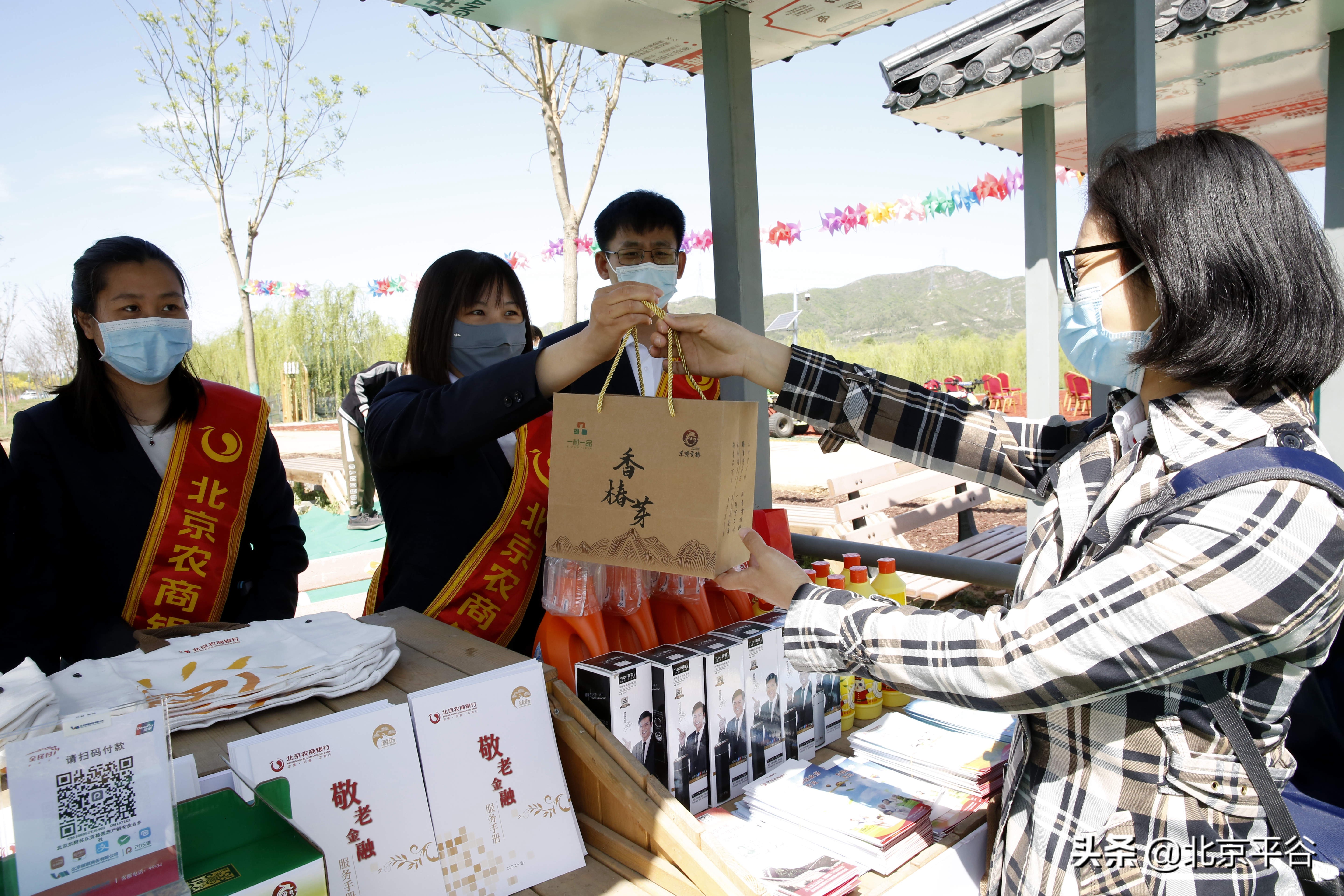 平谷香椿文化节线上举办