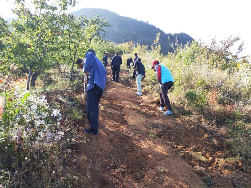 喜迎双节，爱卫同行 密云区大城子镇开展爱国卫生活动