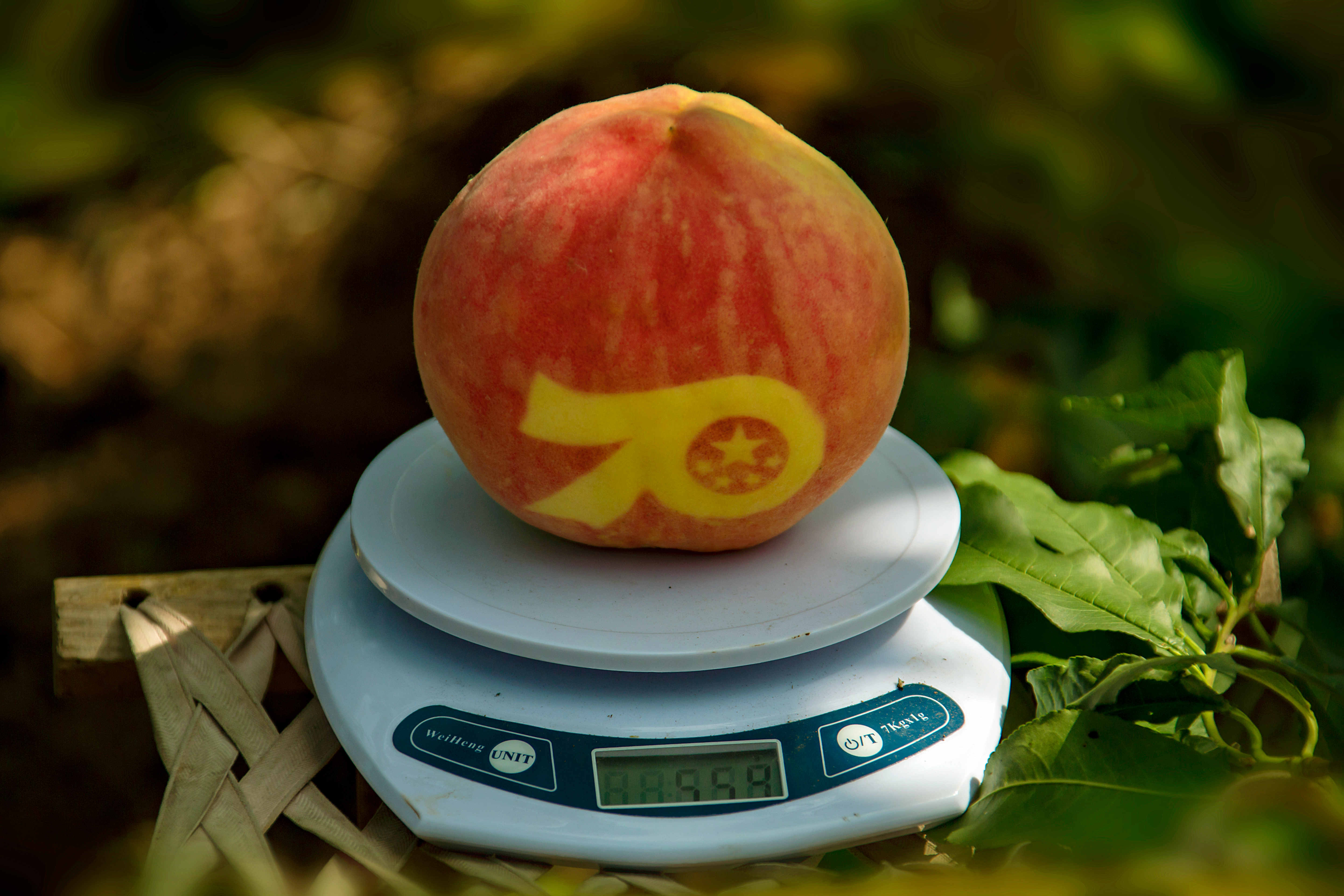 平谷区推出原创现代评剧《国宴桃》献礼“建党100周年”