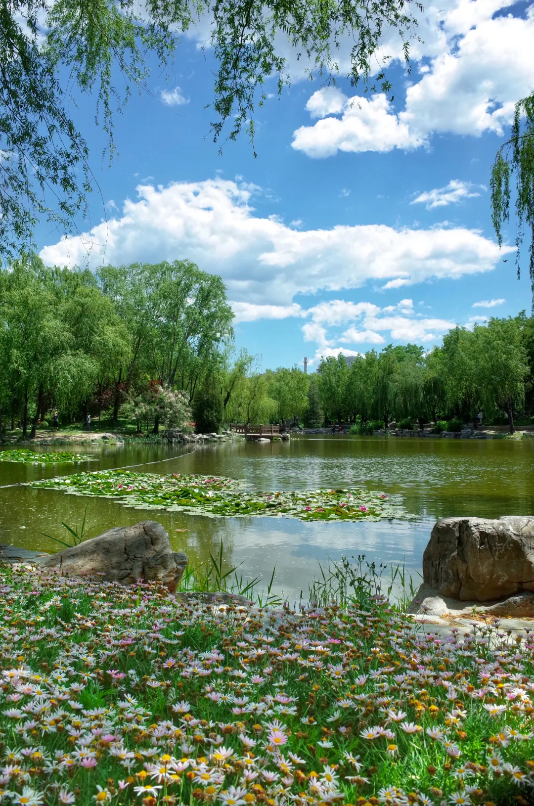活力东城 | 复工复产复商复市，东城按下“快进键”！