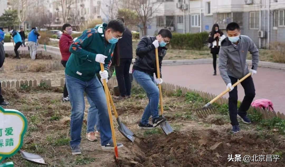 凝聚党员“双报到”力量，助力北京昌平创城工作