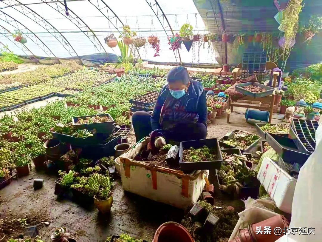 风雪中，延庆乡亲暖心守护！