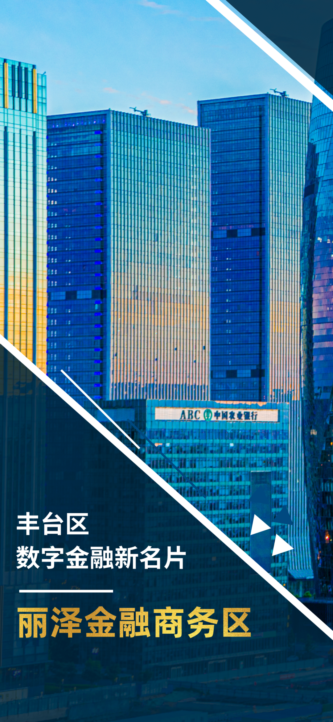 高质量发展“丰”华正茂