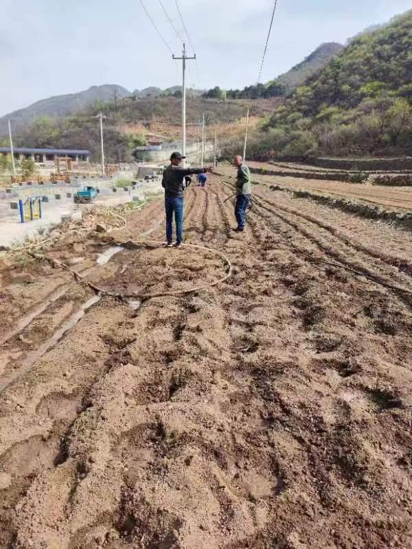 密云区新城子镇土地复耕变良田 助力乡村新发展