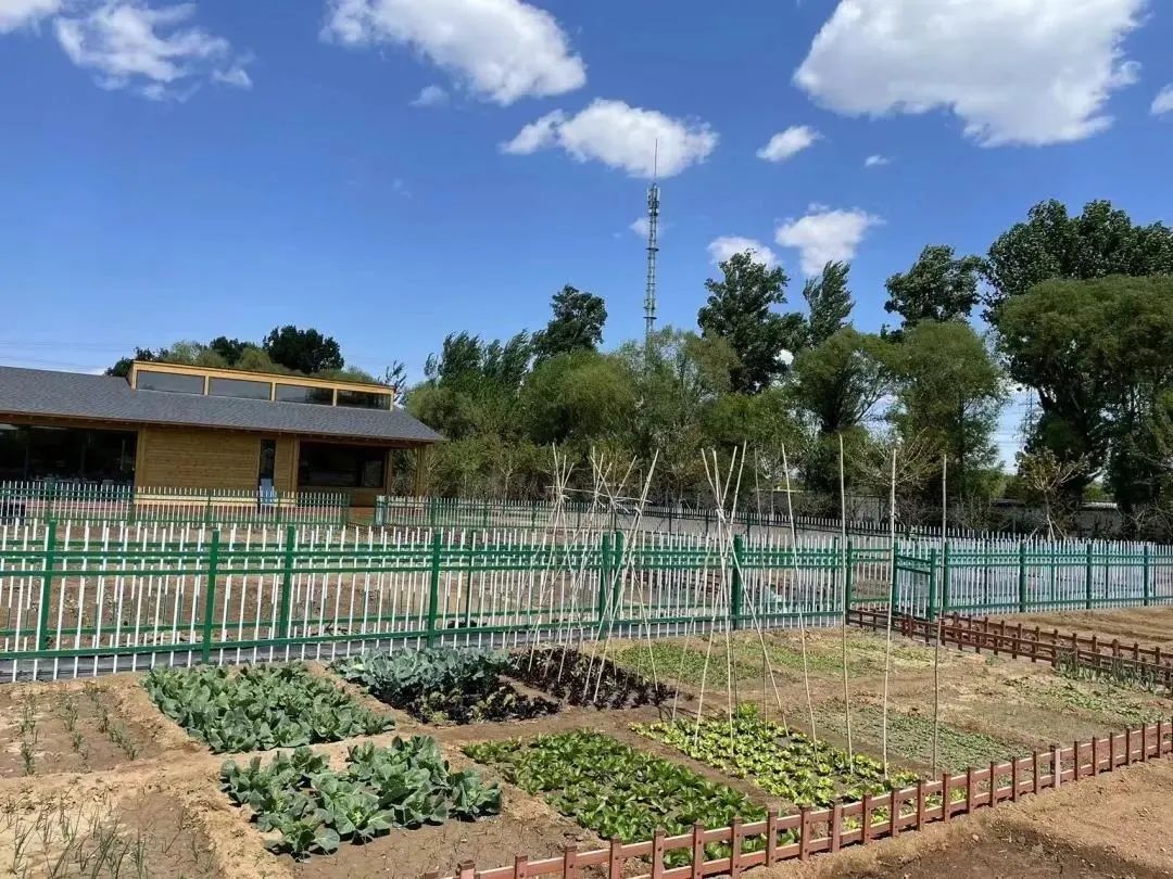 这个蔬艺园，成为推动村庄产业发展的新亮点