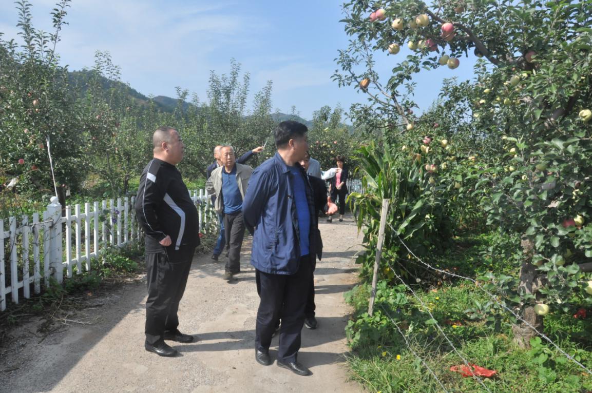 密云区新城子镇与朝阳区十八里店乡开展对接帮扶工作