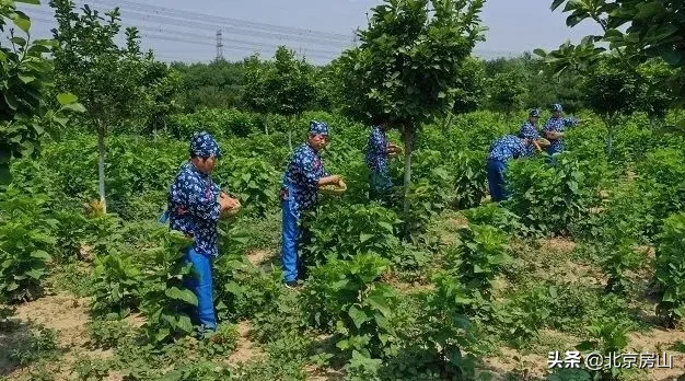 档案见证小康路，回顾房山脱低攻坚路上的光辉事迹！