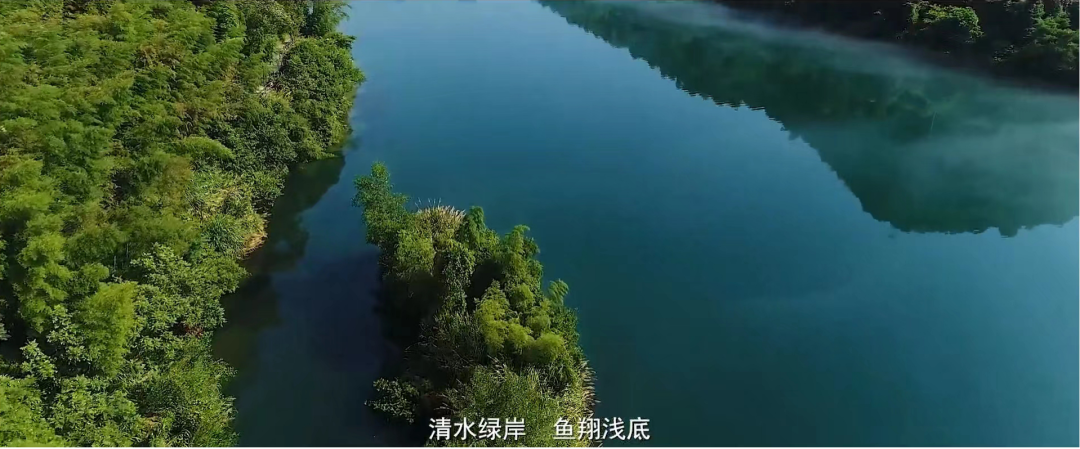 晒数据！顺义生态环境保护工作交出亮眼成绩单！