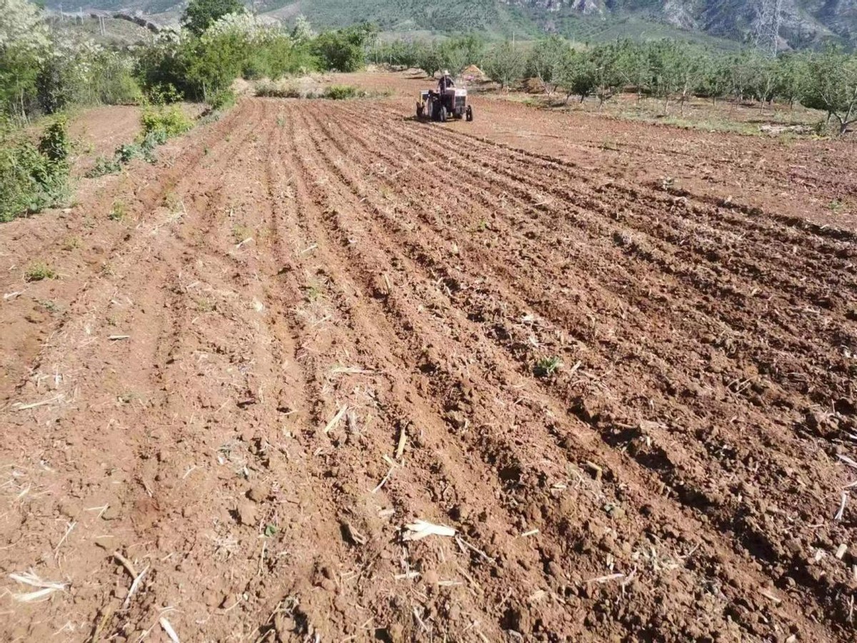 密云区新城子镇土地复耕变良田 助力乡村新发展