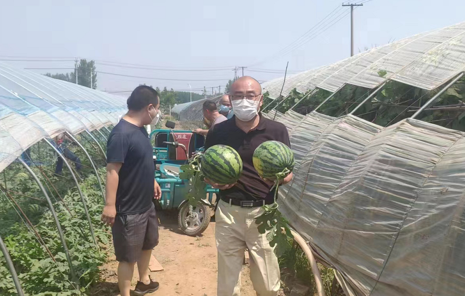 李遂镇多方施策，为镇域农产品打通销售渠道