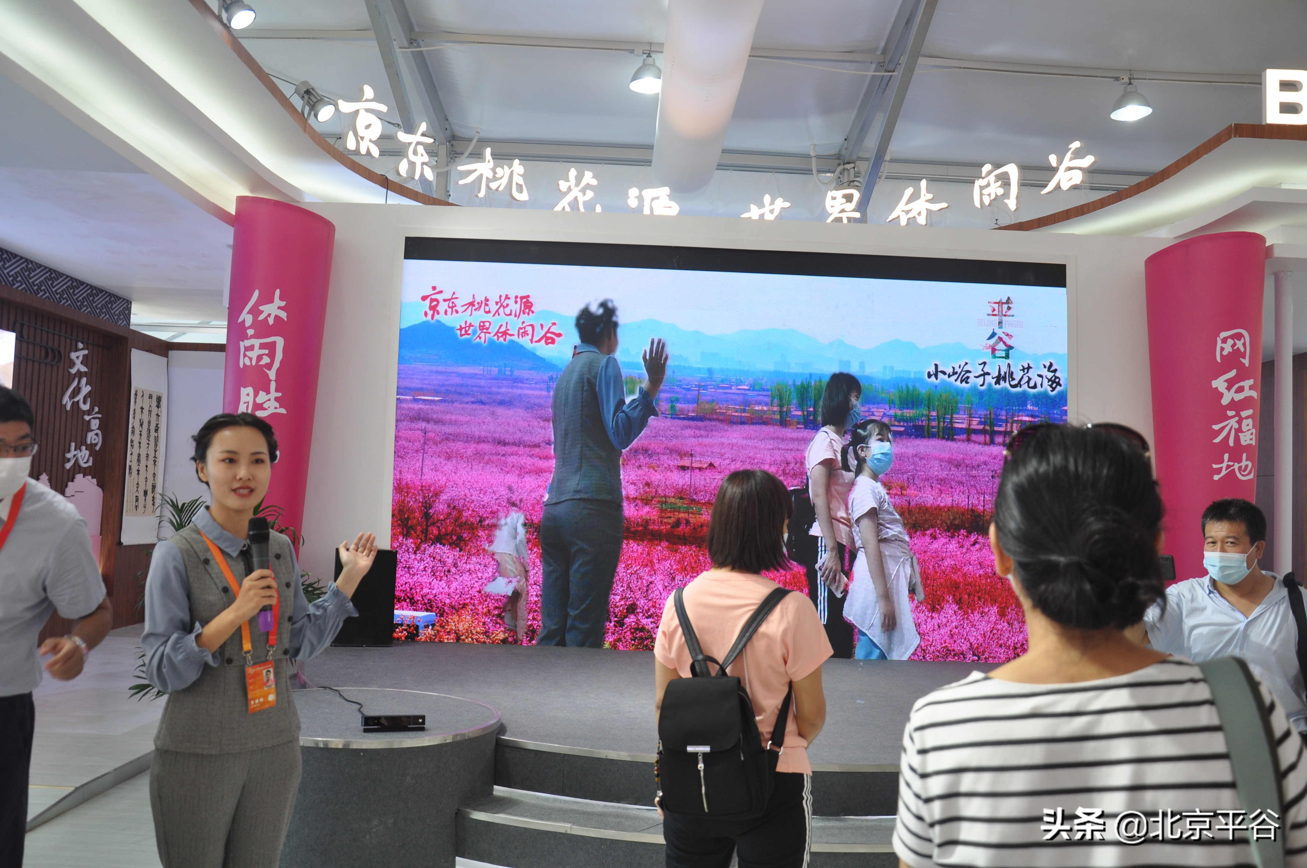 探访“服贸会”平谷展区，遇见最美“网红平谷”