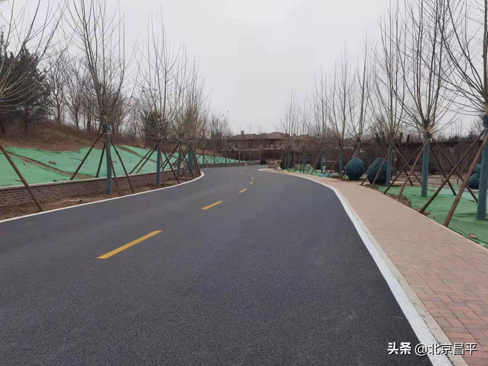 解决居民“头疼事儿”！小汤山这条回家路“脱胎换骨”