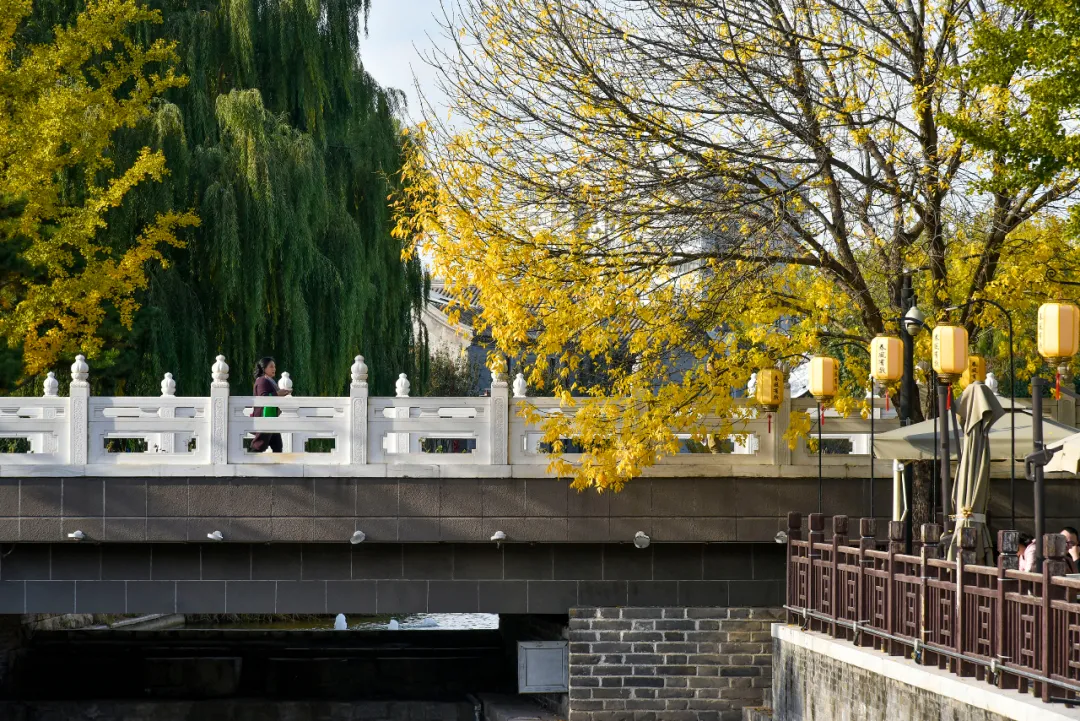 领略大运河历史文化，感受老胡同居民的新生活