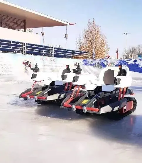 圆梦庆冬奥 正月游丰台——2022丰台正月文化旅游系列活动