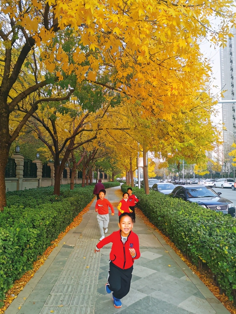 秋韵美景醉朝阳，绚丽多彩惹人爱