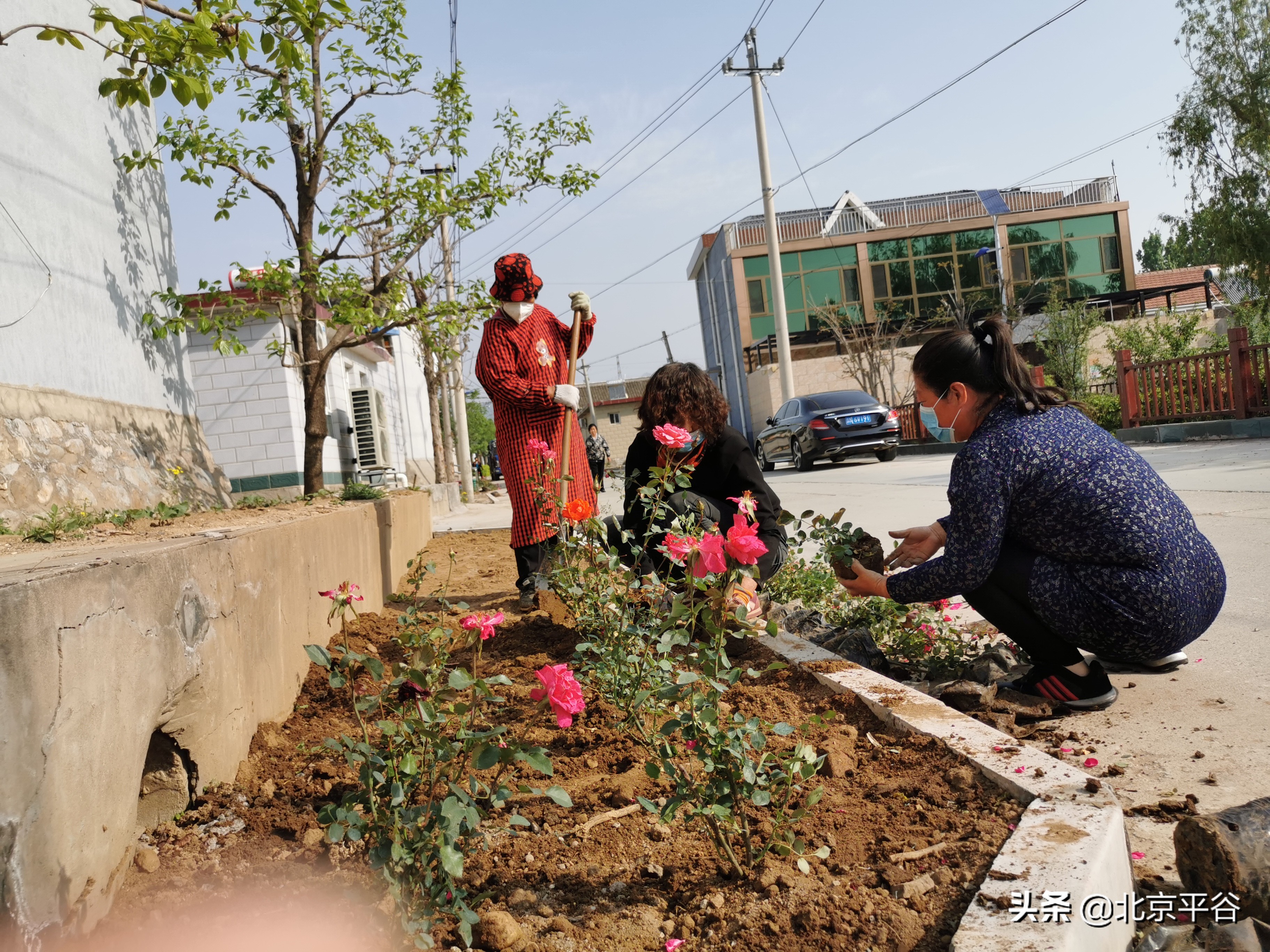 抓实“疏整促” 平谷南独乐河镇村容村貌增新颜