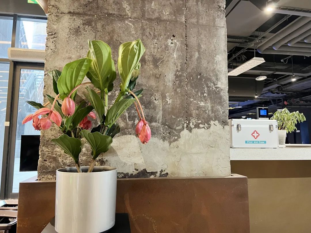 石景山首钢园的“隐藏菜单”！艺术馆里的图书馆你get到了吗？