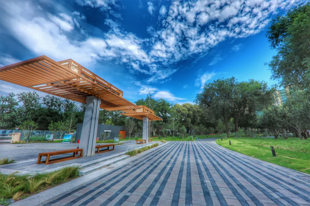 摩天轮回来了！龙潭中湖公园今天开园，免费！