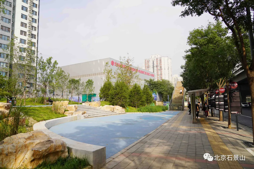 开窗见景、出门见绿！阜石路沿线绿化景观精美亮相！