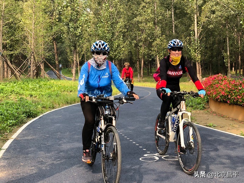 精细化治理，赋能品质“回天”