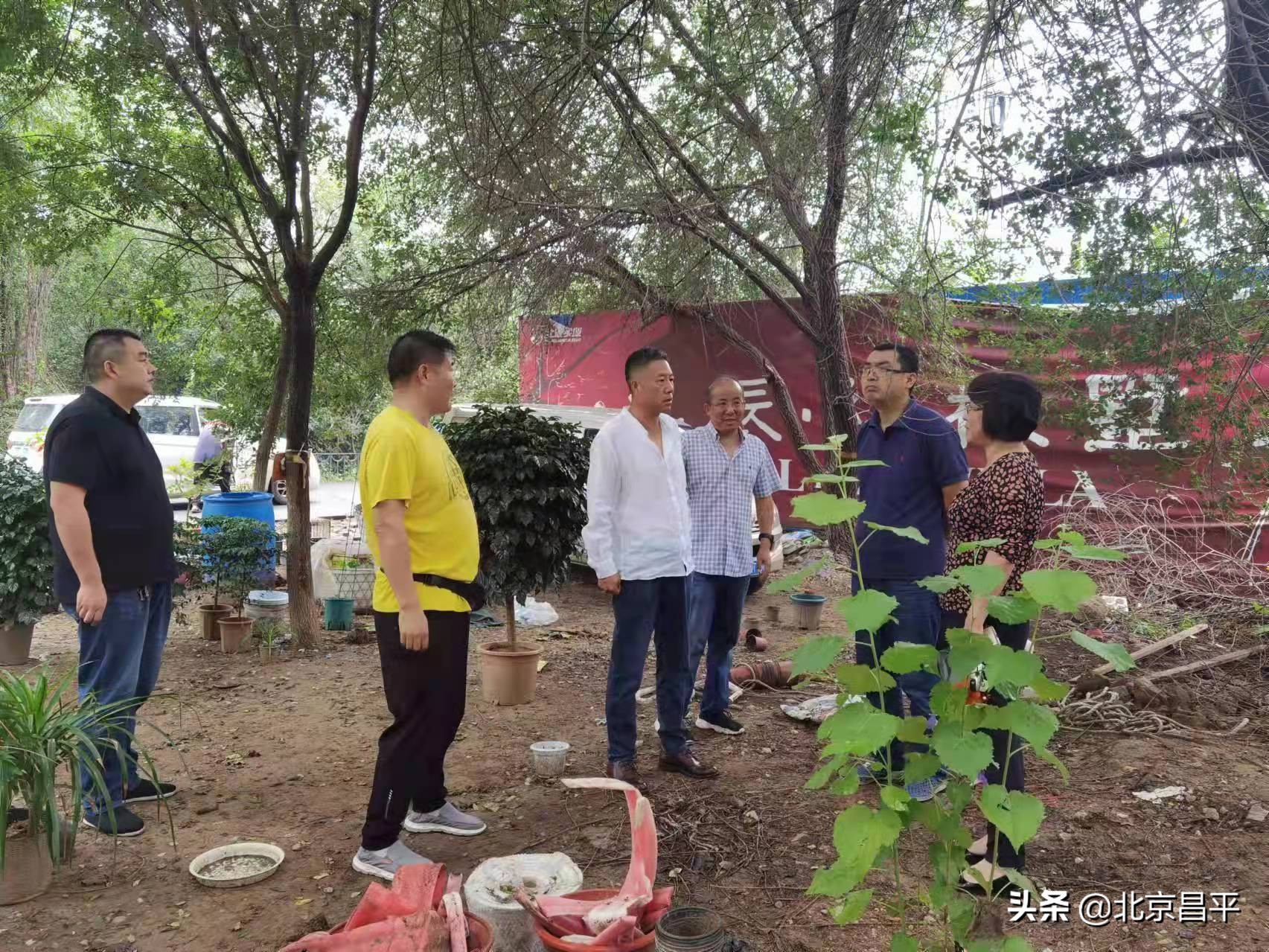 解决居民“头疼事儿”！小汤山这条回家路“脱胎换骨”