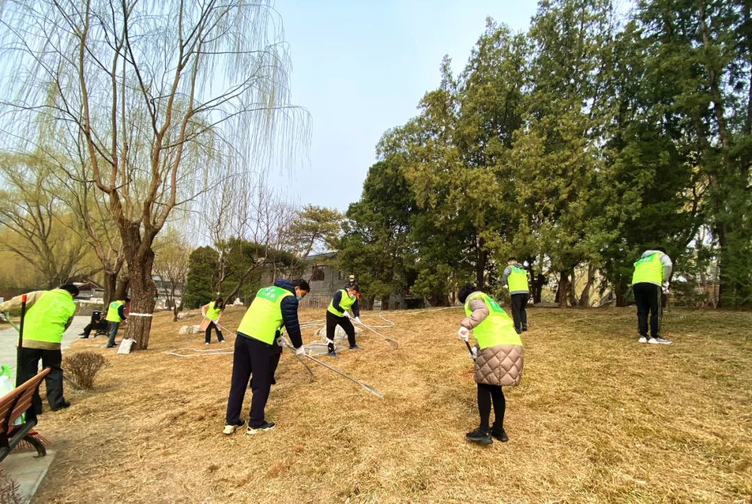 东城3万余株“认养树”集体“寻主”啦！