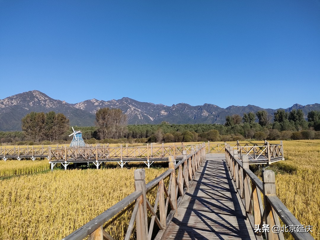 最美冬奥城延庆，朋友圈里一片蓝天