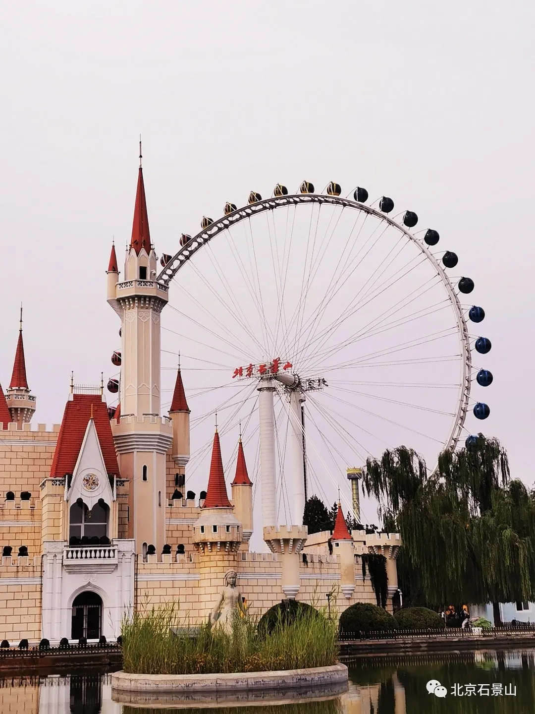 闻老街坊心声 ｜这五年，我的家乡发生了这些变化