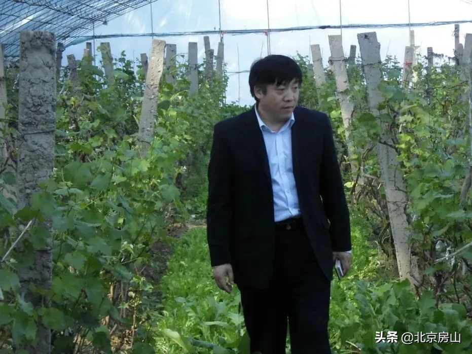 档案见证小康路，回顾房山脱低攻坚路上的光辉事迹！