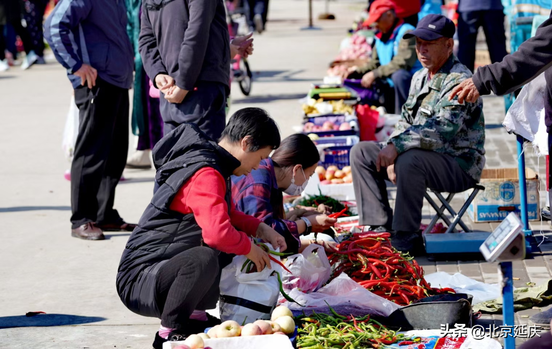 延庆区张山营镇全面提升镇域环境 服务保障冬奥会
