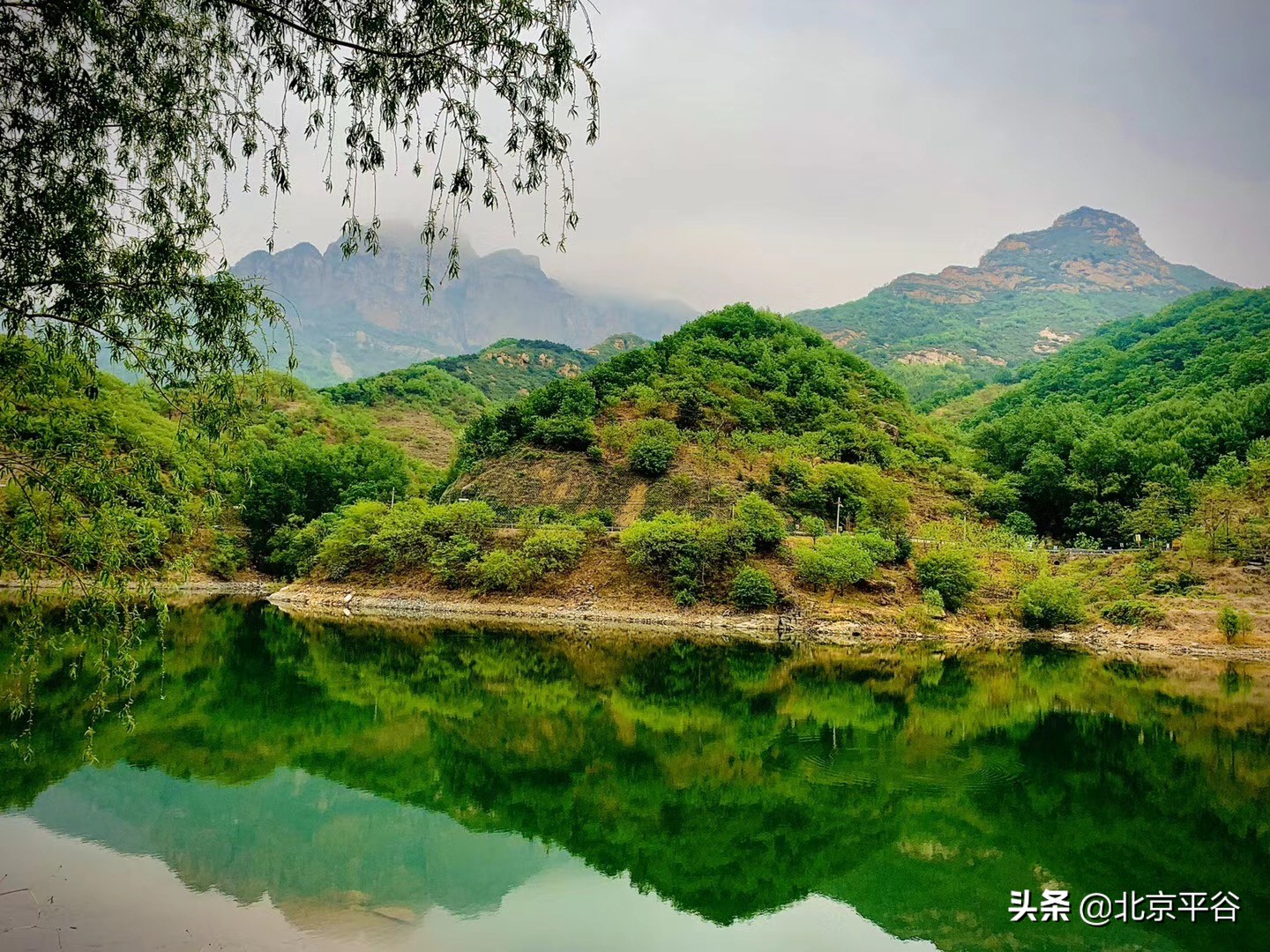 平谷镇罗营镇全力推进民俗旅游复产 助农增收破百万