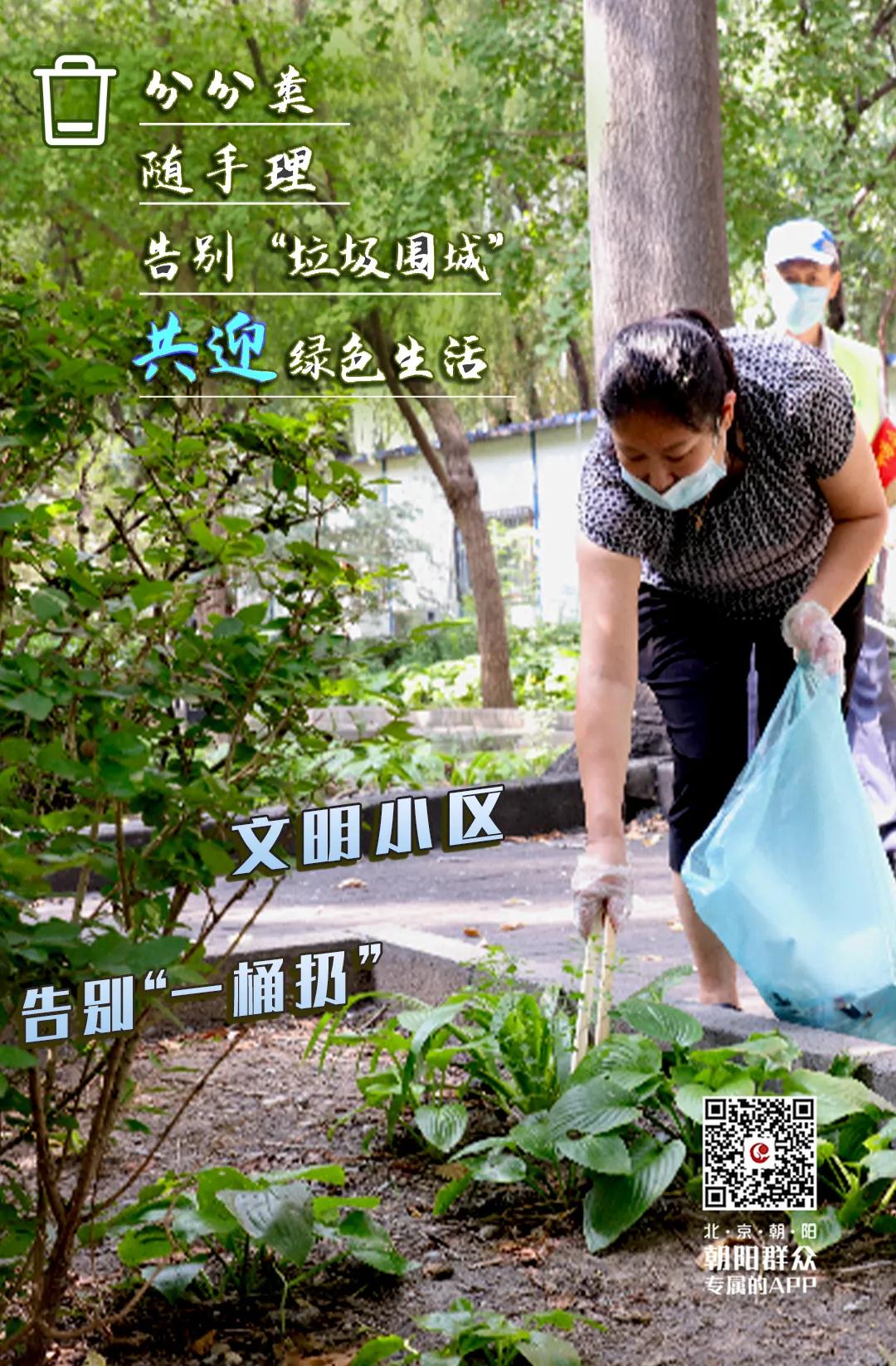 朝阳群众的文明行动