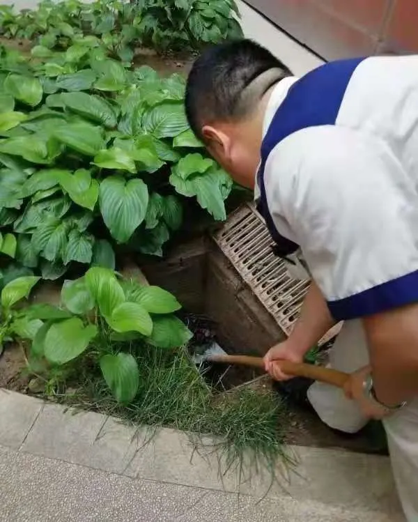 闻汛而动！东城区积极应对强降雨
