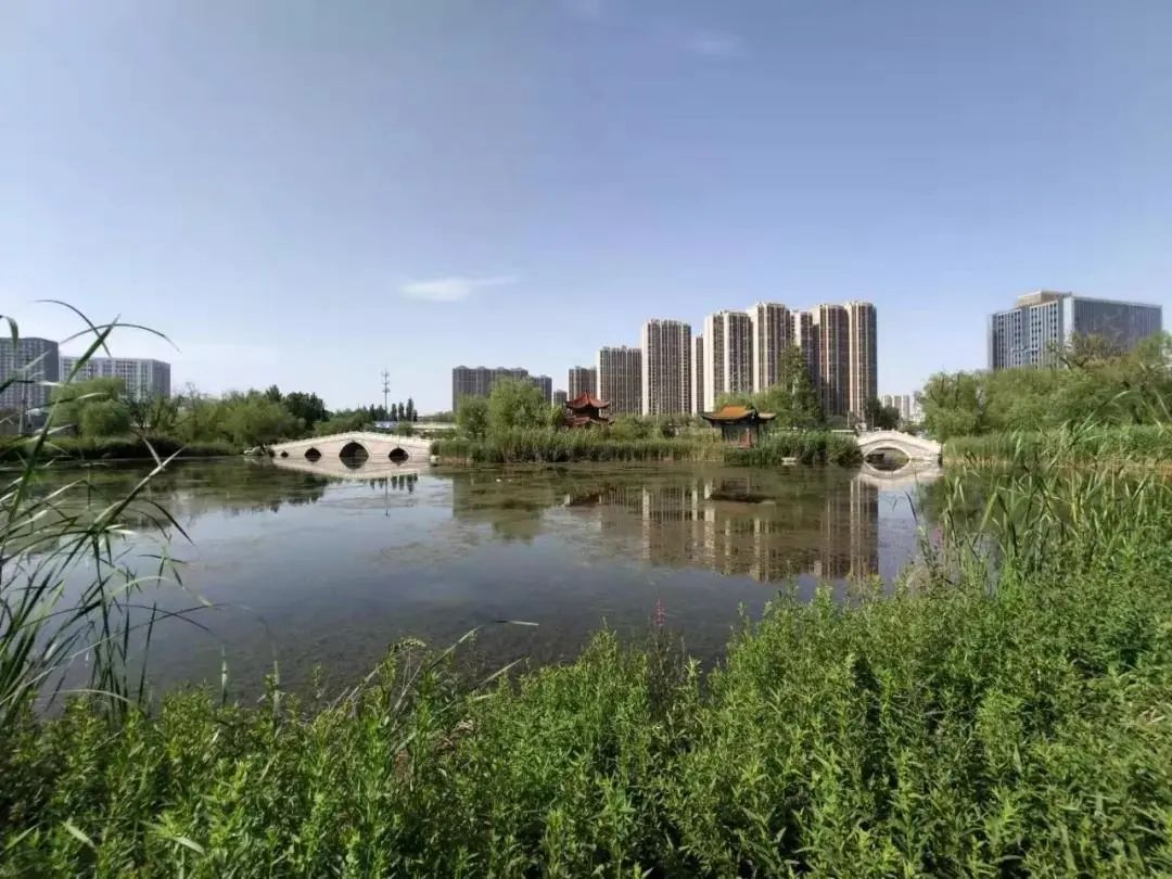 2021年度北京市优美河湖结果出炉，朝阳这三条河湖上榜！