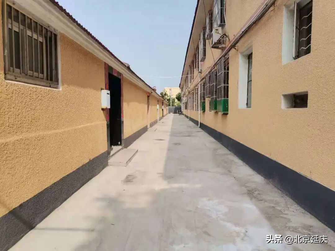 我为群众办实事｜延庆区110条街巷全方位整治提升 打造舒心人居环境