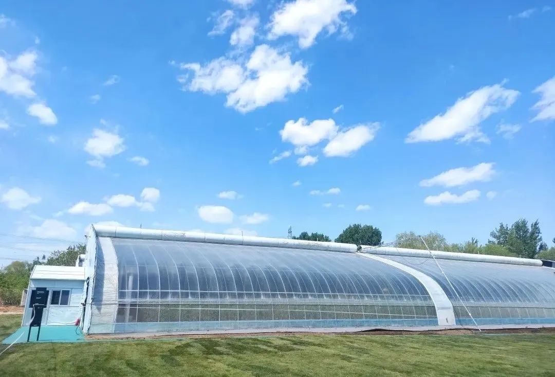 这个蔬艺园，成为推动村庄产业发展的新亮点